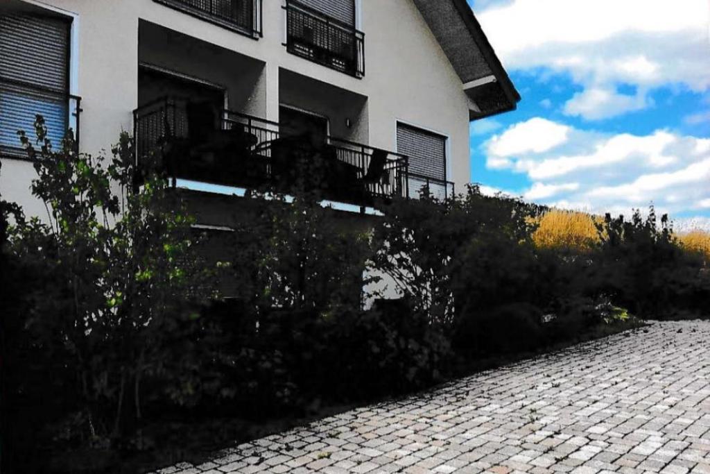 Ferienwohnung Blanco In Willingen Willingen  Eksteriør billede